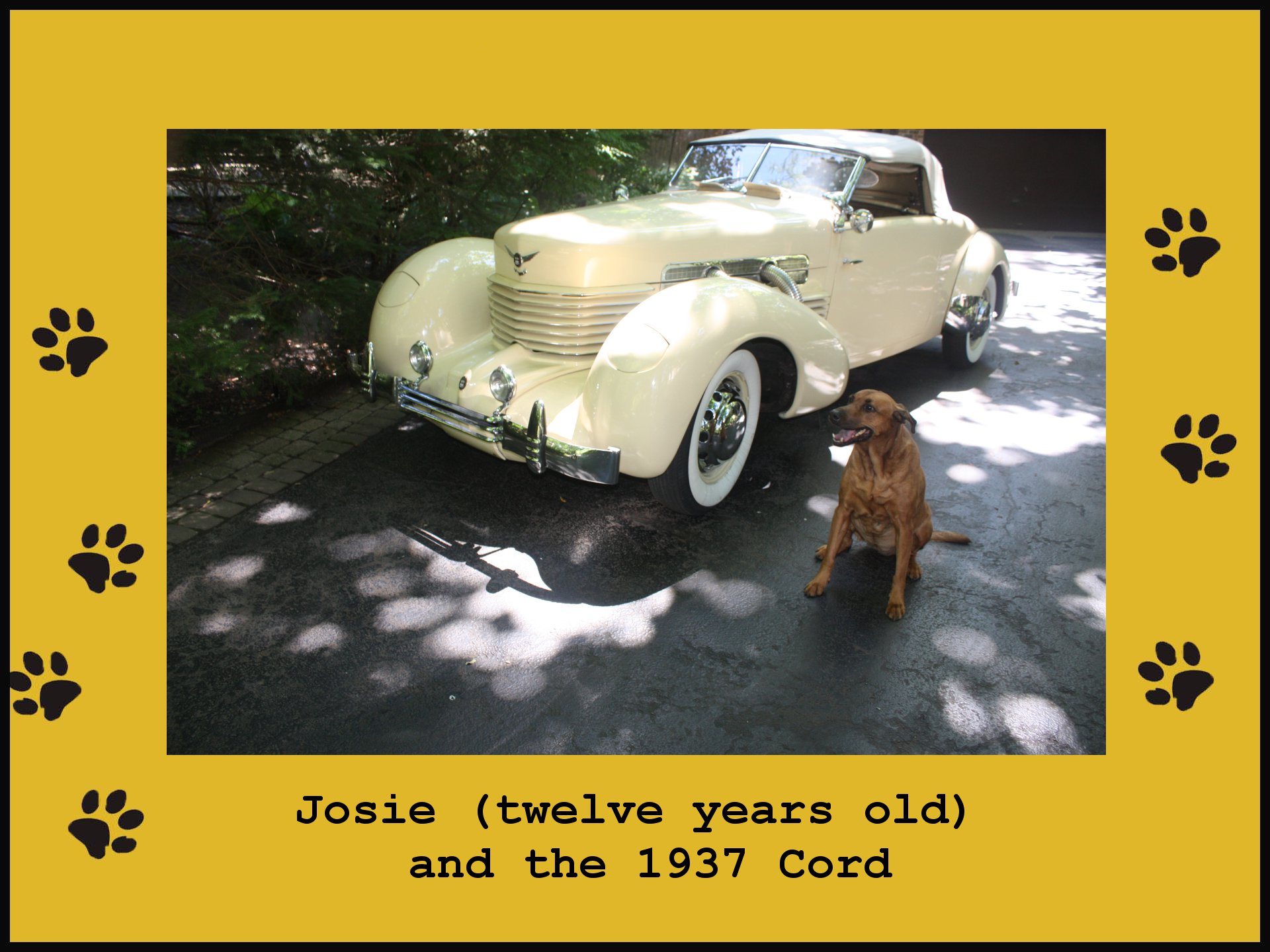 Josie and 1937 Cord (323K)